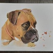 Mi Proyecto del curso: Retratos expresivos de animales en acuarela . % Henar tarafından hazırlanan Geleneksel illüstras, on, Sulubo, a Resim, Gerçekçi Çizim, Doğalcı İllüstras, Ve on projesi - 10.21.2021