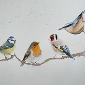 Mijn project van de cursus: Vogels illustreren met artistieke aquarel. Traditional illustration, Watercolor Painting, Realistic Drawing, and Naturalistic Illustration project by Renske Terpstra - 10.05.2021