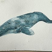 Ballenas en acuarela  primer proyecto. Watercolor Painting project by MANUEL BOROBIO DE MIGUEL - 10.23.2021
