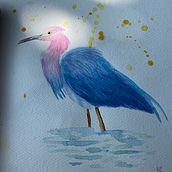 Aigrette bleu . Traditional illustration, Watercolor Painting, Realistic Drawing, and Naturalistic Illustration project by miroyer - 10.24.2021