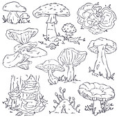 Estudios. Un proyecto de Ilustración tradicional de Ana Solano - 24.10.2021