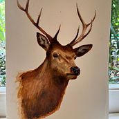 Stag Ein Projekt aus dem Bereich Aquarellmalerei von m_hare - 25.10.2021