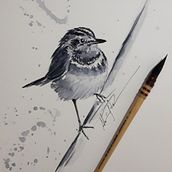 Meu projeto do curso: Aquarela naturalista com expressão e personalidade . % Alexandre Gonçalves Ribeiro tarafından hazırlanan Geleneksel illüstrasyon, Suluboya Resim, Ve Doğalcı İllüstrasyon projesi - 10.24.2021