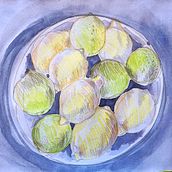 My project in Illustrating Nature: A Creative Exploration course. Traditional illustration, Painting, Drawing, Watercolor Painting, Ink Illustration, and Naturalistic Illustration project by Michaela Hájková - 10.26.2021