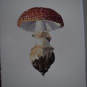 My project in ‌Illustration of Natural Elements in Watercolor course. Traditional illustration, Naturalistic Illustration, and Watercolor Painting project by Pearl Maxner - 10.27.2021