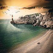 OVERSIZED ANIMALS. Een project van Retoucheren van foto's, Matte painting y Fotomontage van Dani Cuesta Adsuara - 27.10.2021