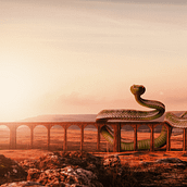 SERPIENTES EN EL DESIERTO. Un proyecto de Post-producción fotográfica		, Retoque fotográfico, Fotografía digital, Composición fotográfica y Fotomontaje de Marcos Menchaca Ortega - 27.10.2021