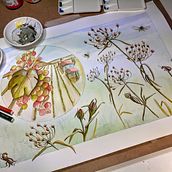 Uvas do Senhor (P6). Watercolor Painting, and Drawing project by claudia regina - 10.27.2021