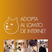 Mi Proyecto del curso: Lomitos de Internet. Advertising, Creative Consulting, Marketing, and Creativit project by Adrián Quiros - 10.26.2021