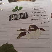 Mi Proyecto del curso: Introducción al bullet journal ilustrado. Traditional illustration, Arts, Crafts, Lettering, Drawing, Botanical Illustration, DIY, H, and Lettering project by evagelsa_1 - 10.28.2021