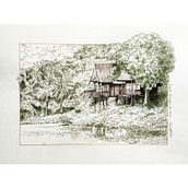 My project in Dip Pen and Ink Illustration: Capturing The Natural World course. Sketching, Drawing, Artistic Drawing, Sketchbook, Ink Illustration, Naturalistic Illustration, and Traditional illustration project by teckpoh.choo - 10.31.2021