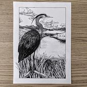 Il mio progetto del corso: Illustrazione con inchiostro e pennino: rappresenta la natura. Un progetto di Bozzetti, Disegno, Disegno artistico, Sketchbook, Illustrazione con inchiostro e Illustrazione naturalistica di Irene Asara - 31.10.2021