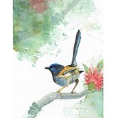 Blue wren. Traditional illustration project by mcpaan - 11.01.2021