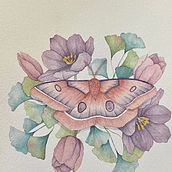 My project in Naturalist Illustrations with Watercolors: Drawing and Composition course. Een project van Traditionele illustratie,  Tekening, Aquarelschilderen y Naturalistische illustratie van Crystal C - 30.10.2021