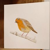 Mi Proyecto del curso: Ilustración naturalista de aves con acuarela. Traditional illustration, Watercolor Painting, Realistic Drawing, and Naturalistic Illustration project by Anna Lorita - 11.01.2021