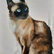 Il mio progetto del corso: Ritratti espressivi di animali ad acquerello. Traditional illustration, Watercolor Painting, Realistic Drawing, and Naturalistic Illustration project by Silvia Biagiotti - 11.01.2021