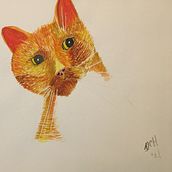 My project in Expressive Animal Portraits in Watercolor course - Caspian. Traditional illustration, Watercolor Painting, Realistic Drawing, and Naturalistic Illustration project by David Horgan - 10.27.2021