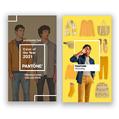 Social Media & Digital · Actions for SPRINGFIELD INSTAGRAM . Design, and Advertising project by Raquel Asenjo González - 11.02.2021