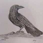 The Crow of Samhuinn Ein Projekt aus dem Bereich Skizzenentwurf von Ilias Zervas - 30.10.2021