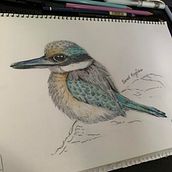 Hummingbird. Un proyecto de Ilustración tradicional de Nikky Freebird - 03.11.2021