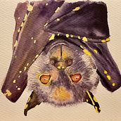 My project in Expressive Animal Portraits in Watercolor course. Traditional illustration, Watercolor Painting, Realistic Drawing, and Naturalistic Illustration project by jdonpeterson - 11.03.2021