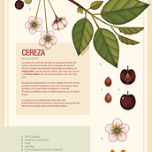 Infografías botánicas. Ilustração tradicional, e Design projeto de Patricia García Ianni - 04.11.2021