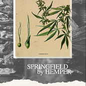 SPRINGFIELD by HEMPER · acción en redes. Design, Motion Graphics, Video, Advertising, and Social Media project by Raquel Asenjo González - 11.04.2021