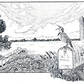 My project in Dip Pen and Ink Illustration: Capturing The Natural World course. Een project van  Schetsen,  Tekening,  Artistieke tekening, Sketchbook,  Illustratie met inkt y Naturalistische illustratie van Diane Cambron - 04.11.2021