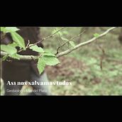Mi Proyecto del curso: Creación de cortometrajes documentales con cámara DSLR . % publicacion_opinioncalificada tarafından hazırlanan Film, Video, TV, Görsel-İşitsel Prodüksi, on, Video Düzenleme, Film, Ve apımcılığı projesi - 10.18.2021