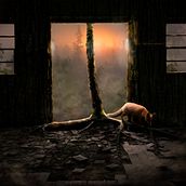 forest. Traditional illustration, and Photograph project by paulinakubieniec1 - 11.05.2021