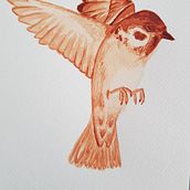 Mi Proyecto del curso: Técnicas experimentales de acuarela para principiantes . Een project van Traditionele illustratie,  Beeldende kunst, Aquarelschilderen y Naturalistische illustratie van elena pallares - 06.11.2021