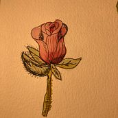 My project in Botanical Watercolor Sketchbook course. Projekt z dziedziny Trad, c, jna ilustracja, Malowanie akwarelą, R, sunek botaniczn i Sketchbook użytkownika Bala Konuskan - 04.11.2021