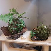 Mon projet du cours : Kokedama : créez un pot naturel avec de la mousse . Arts, Crafts, Interior Design, L, scape Architecture, Decoration, DIY, Floral, and Plant Design project by Yann Burkhardt - 11.07.2021