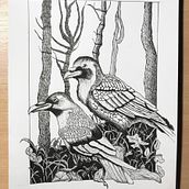 My project in Dip Pen and Ink Illustration: Capturing The Natural World course. Sketching, Drawing, Artistic Drawing, Sketchbook, Ink Illustration, and Naturalistic Illustration project by Robert Taul - 08.19.1989