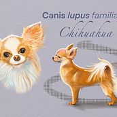 Il mio progetto del corso: Illustrazione naturalistica di animali con Procreate. Traditional illustration, Digital Illustration, Realistic Drawing, and Naturalistic Illustration project by saparme - 11.06.2021
