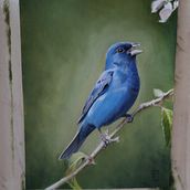 My project in Classical Oil Painting for Naturalist Bird Portraiture course Ein Projekt aus dem Bereich Bildende Künste, Malerei, Ölmalerei und Naturalistische Illustration von aldionot19100 - 08.11.2021
