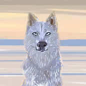 Mi Proyecto del curso: Creación de caricaturas con Infinite Painter. Un progetto di Illustrazione digitale e Illustrazione tradizionale di Anghelo Rodríguez - 10.11.2021