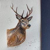 My project in Expressive Animal Portraits in Watercolor course. Watercolor Painting project by barbara_parsley - 11.04.2021