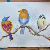 Three little birdies: Watercolour course with Sarah Stokes Ein Projekt aus dem Bereich Traditionelle Illustration und Aquarellmalerei von hall_margaret244 - 10.11.2021