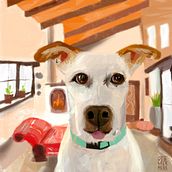 Mi Proyecto del curso: Creación de caricaturas con Infinite Painter Ein Projekt aus dem Bereich Traditionelle Illustration und Digitale Illustration von dmerhege - 10.11.2021