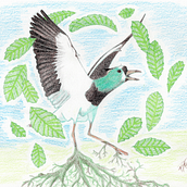 My project in Surrealist Illustration Inspired by Nature course. Traditional illustration, Pencil Drawing, Drawing, Artistic Drawing, Naturalistic Illustration, and Colored Pencil Drawing project by Bernhard Friedrich Schlee - 11.11.2021
