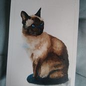 Loose watercolour Siamese Cat. Un projet de Aquarelle de billinb70 - 11.11.2021