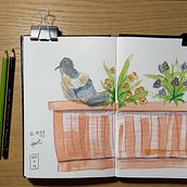 My project in Creative Watercolor Sketching for Beginners course. Traditional illustration, Sketching, Creativit, Drawing, Watercolor Painting, and Sketchbook project by Rina Fleisch - 11.11.2021