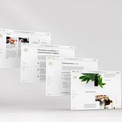 Web CBD SUNSANE Ein Projekt aus dem Bereich Webdesign und Webentwicklung von meryanrivers - 21.04.2021