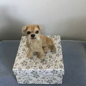 Needle felted dog sculpture . Un proyecto de 3D de Sharon Holmes - 12.11.2021
