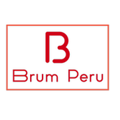 Proyecto de asesorias contables BRUM. Marketing digital projeto de Ernesto Pacheco Lynch - 13.11.2021