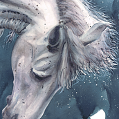 Horse I: Watercolor Work. Watercolor Painting, Painting, and Traditional illustration project by Miguel A. Guzmán - 10.08.2021