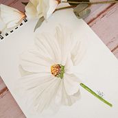 Trabajos anteriores al curso con Sarah Stokes. Traditional illustration project by Tatiana Acevedo - 11.14.2021