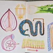 My project in "Illustration Techniques to Unlock your Creativity" course. Traditional illustration, Fine Arts, Painting, Creativit, and Sketchbook project by Alexandra Knebekajze - 11.14.2021