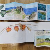 Il mio progetto del corso: Diario naturalista ad acquerello Ein Projekt aus dem Bereich Traditionelle Illustration, Aquarellmalerei, Botanische Illustration, Sketchbook und Naturalistische Illustration von Stefania Capelli - 14.11.2021